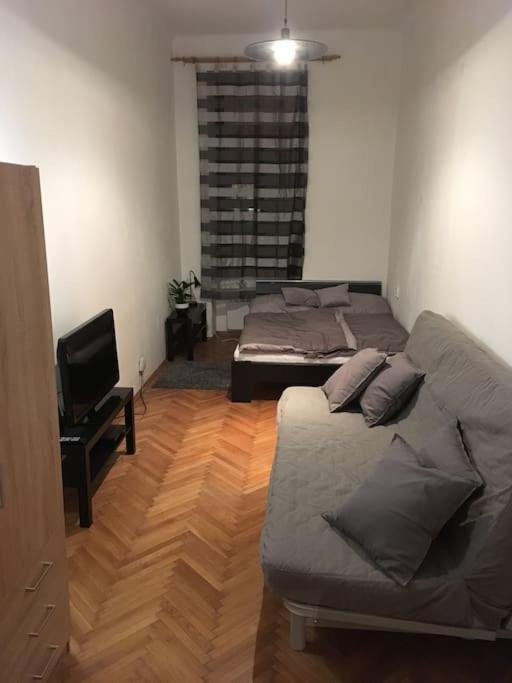 Utulne Ubytovani U Centra V Blizkosti Vystaviste 브르노 외부 사진